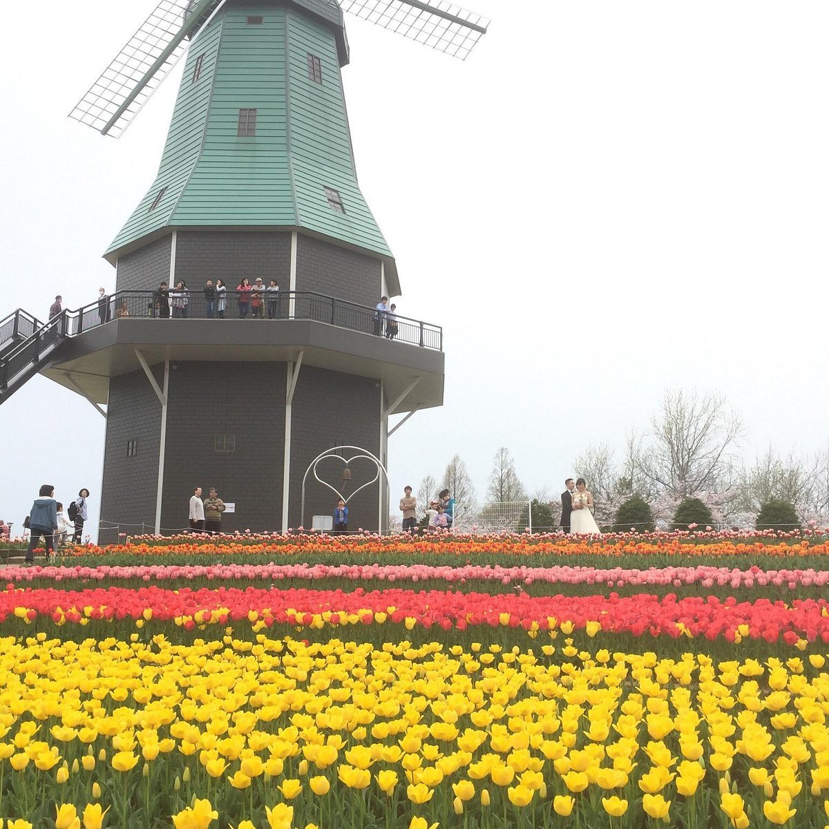 🏞️ 쓰치우라시 자연 센터(쓰치우라시 네이처 센터) 이미지 5